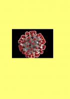 giornalino_coronavirus_3DLL_page-0003